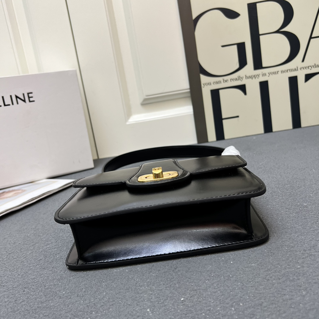 Celine bag-130