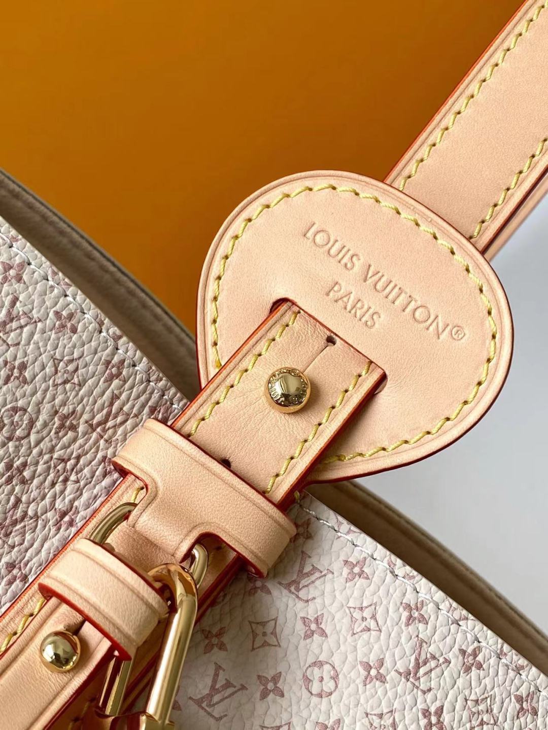 Louis Vuitton bag-192