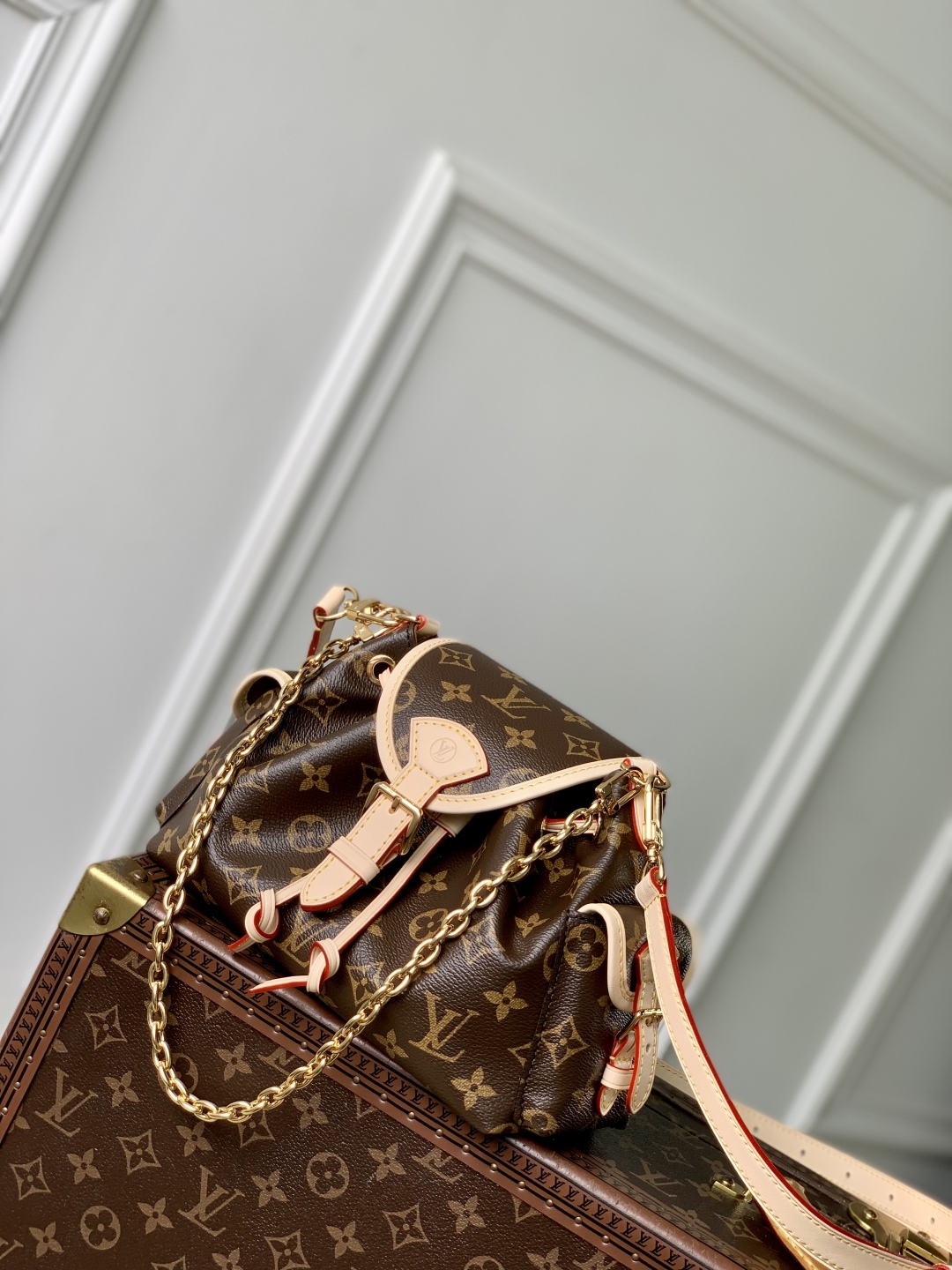 Louis Vuitton bag-49