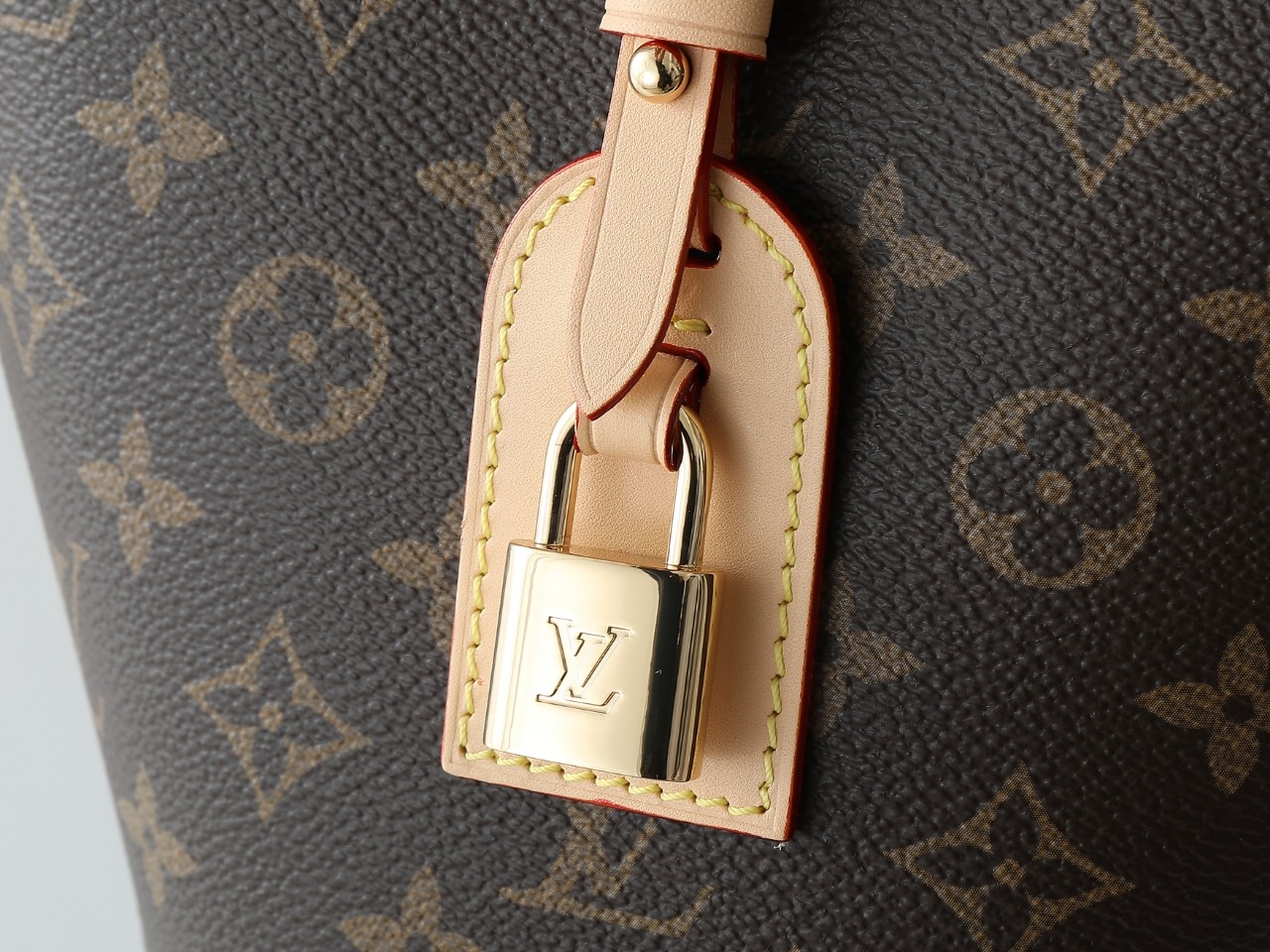 Louis Vuitton bag-22