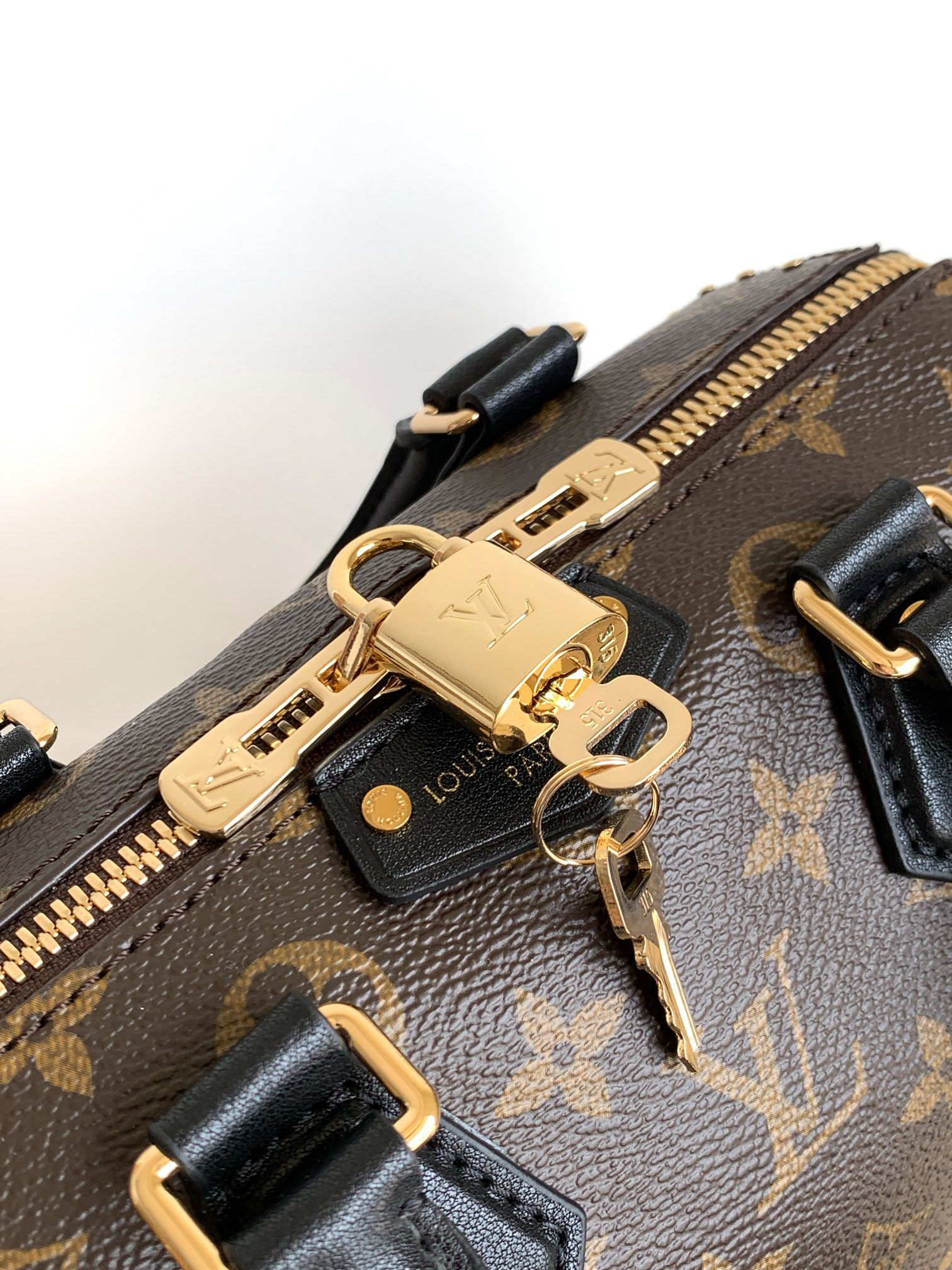 Louis Vuitton bag-5