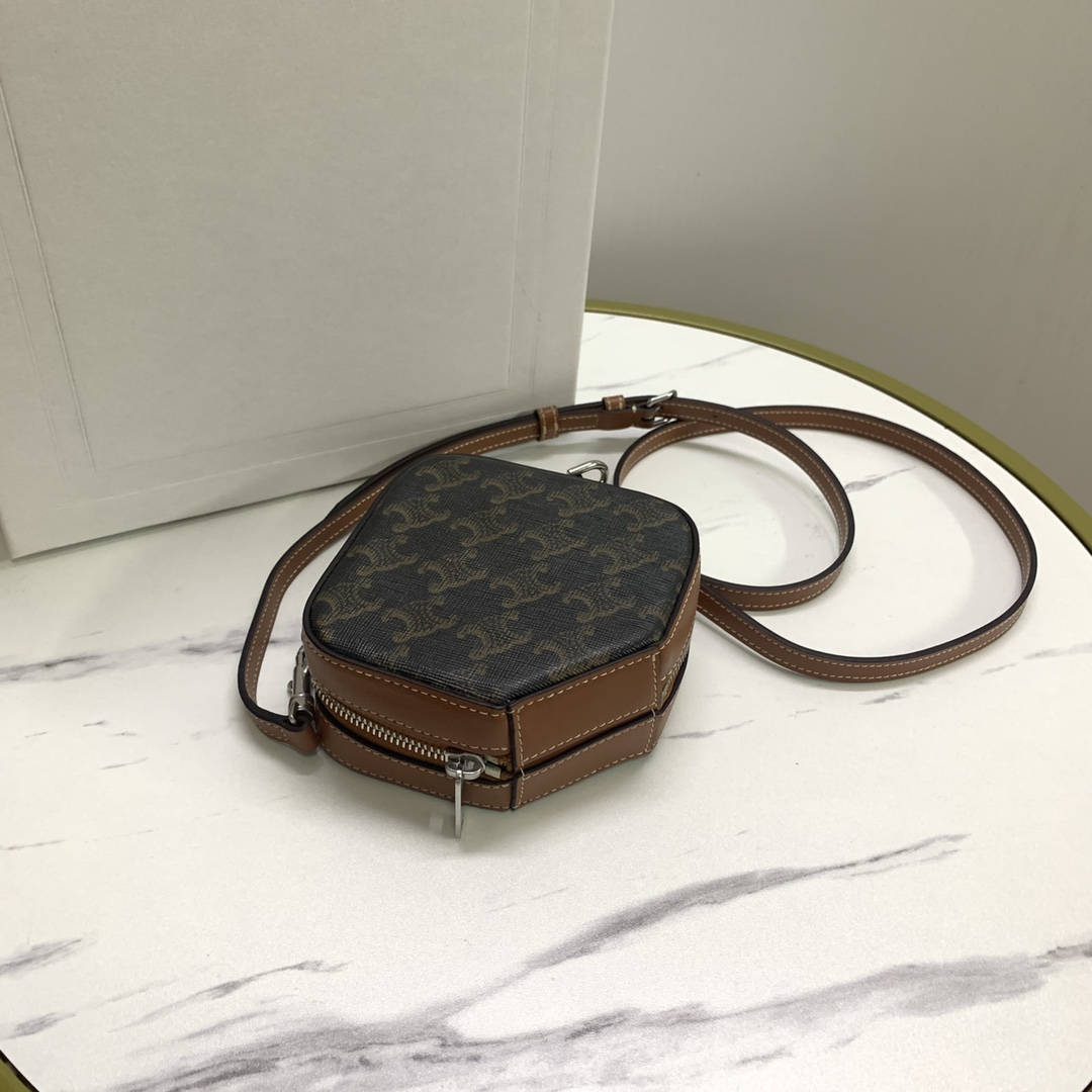 Celine bag-124