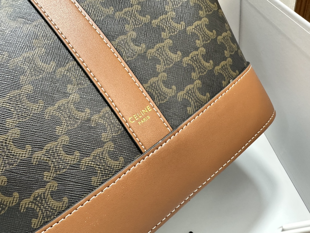 Celine bag-47