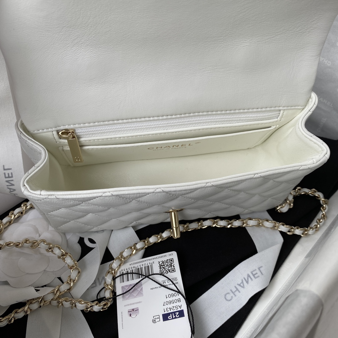 Chanel bag-100