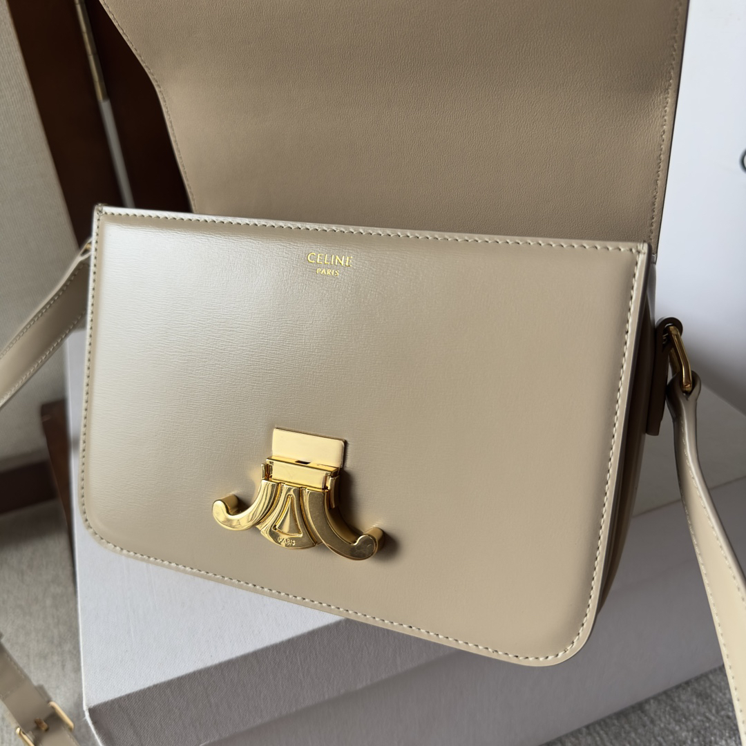 Celine bag-76