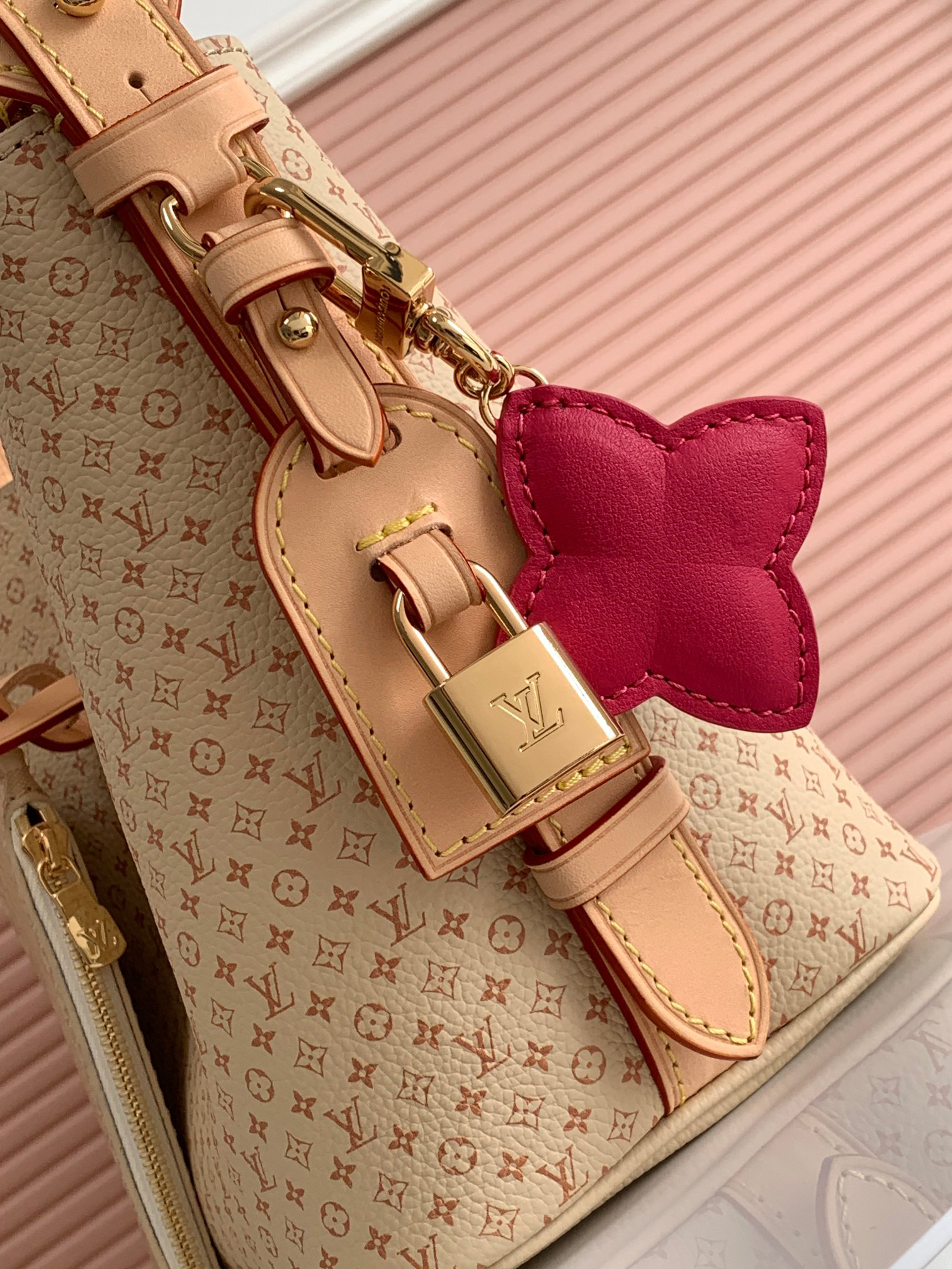Louis Vuitton bag-4