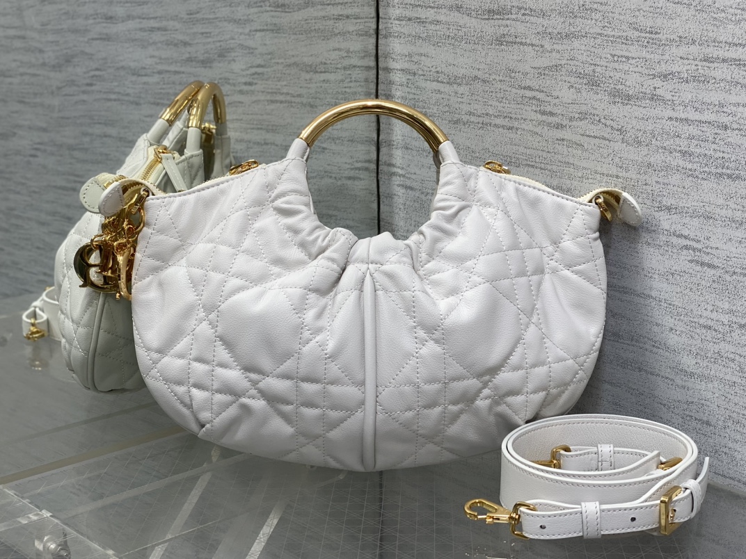 Dior bag-5