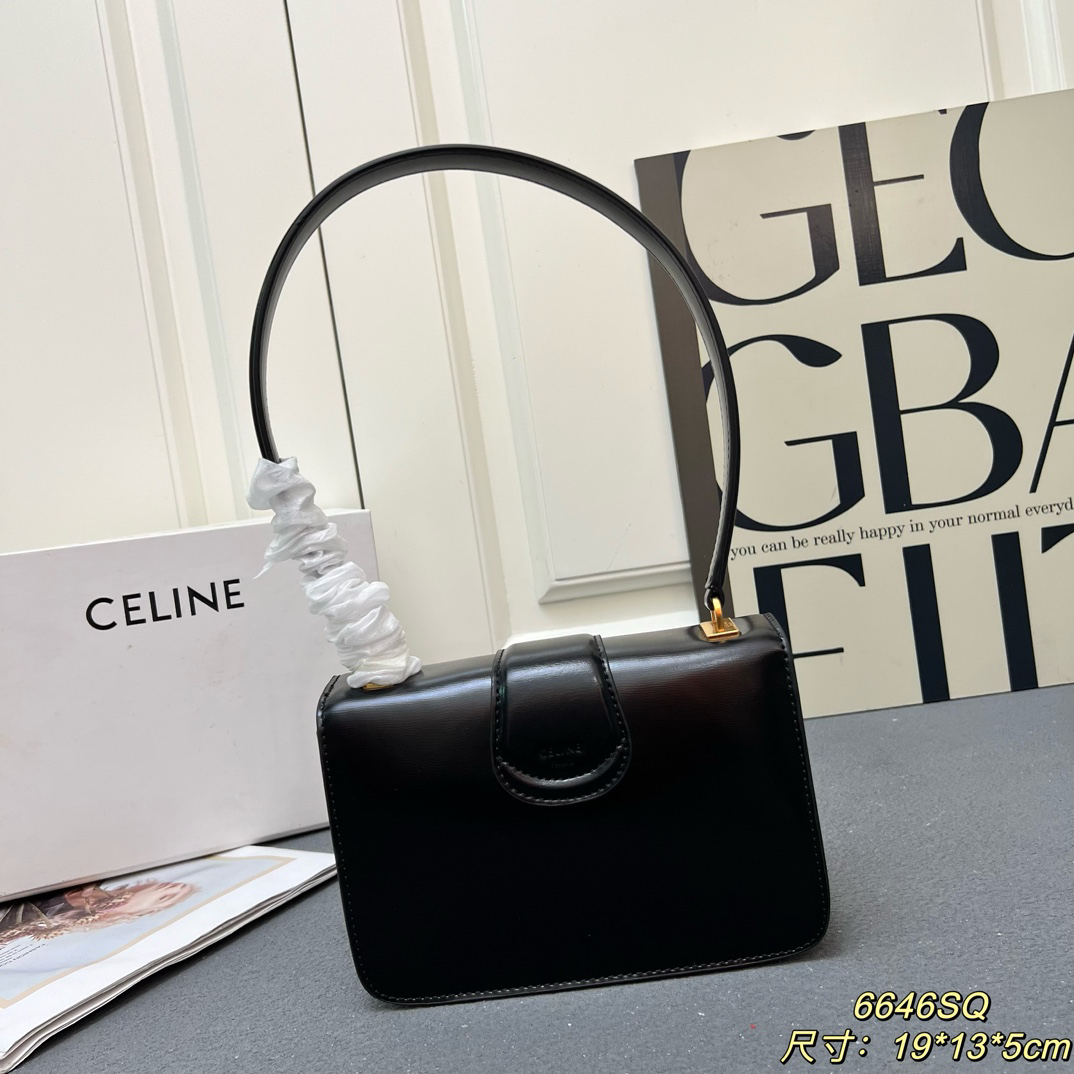 Celine bag-130