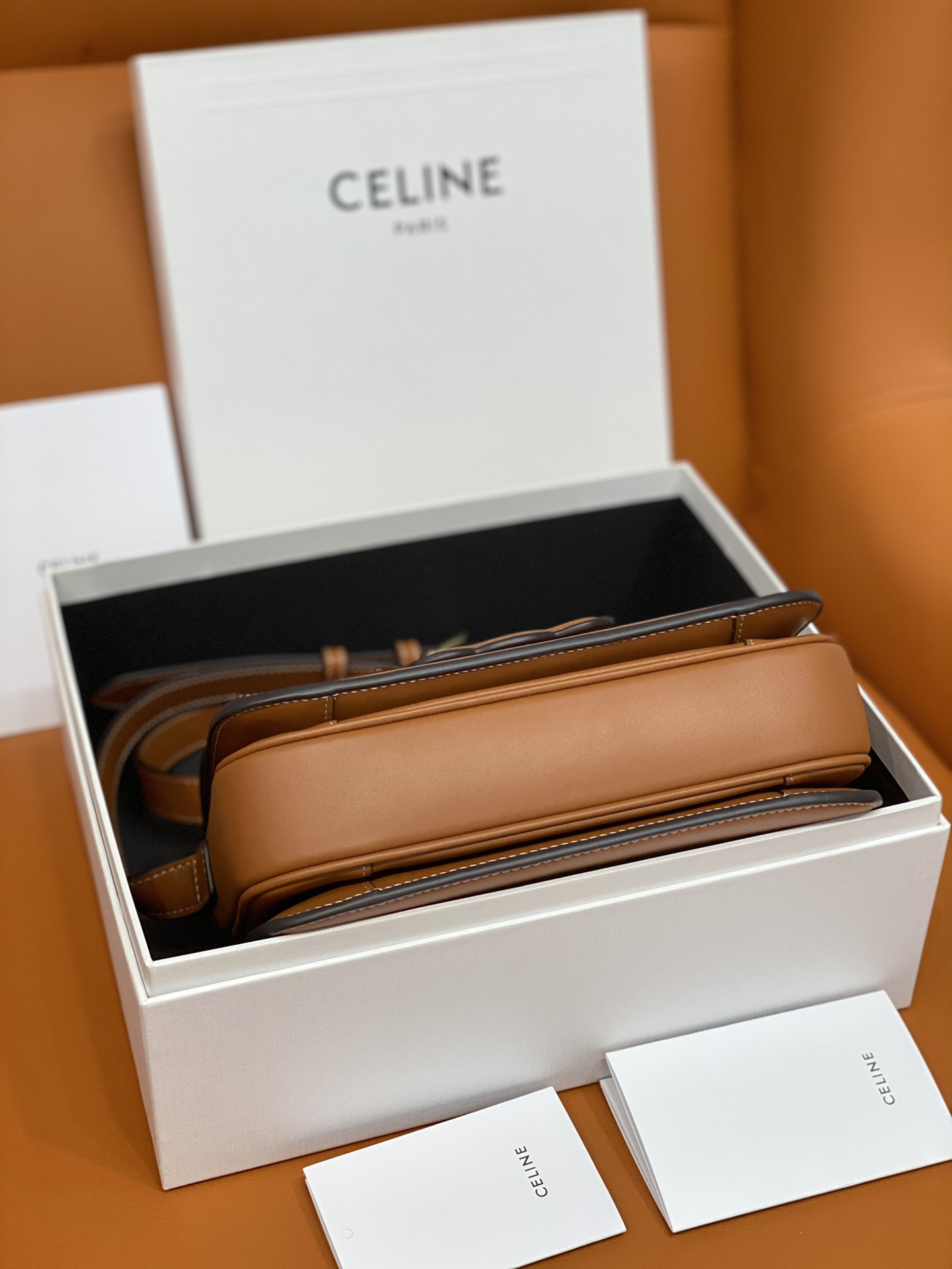 Celine bag-110