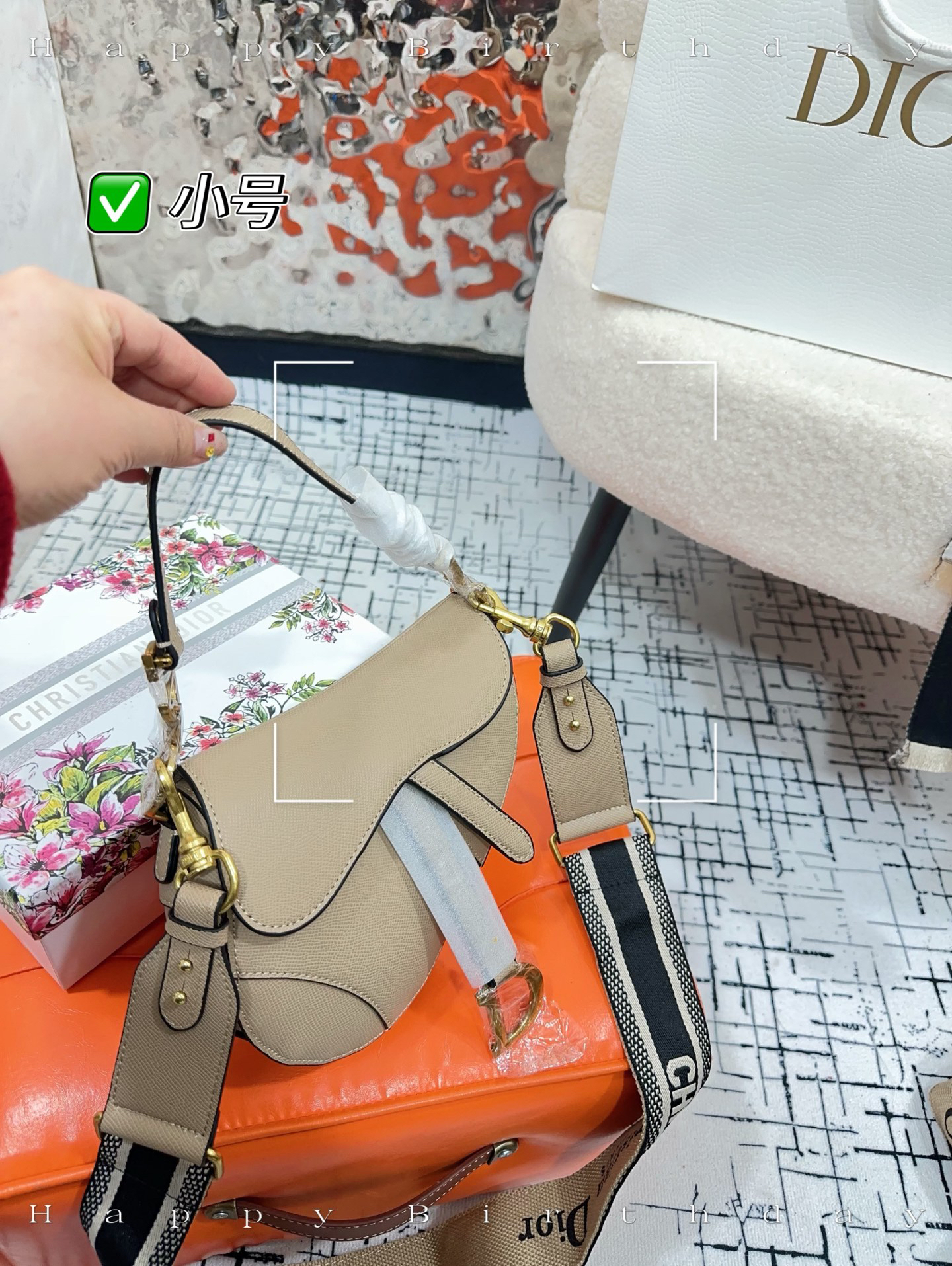 Dior bag-4