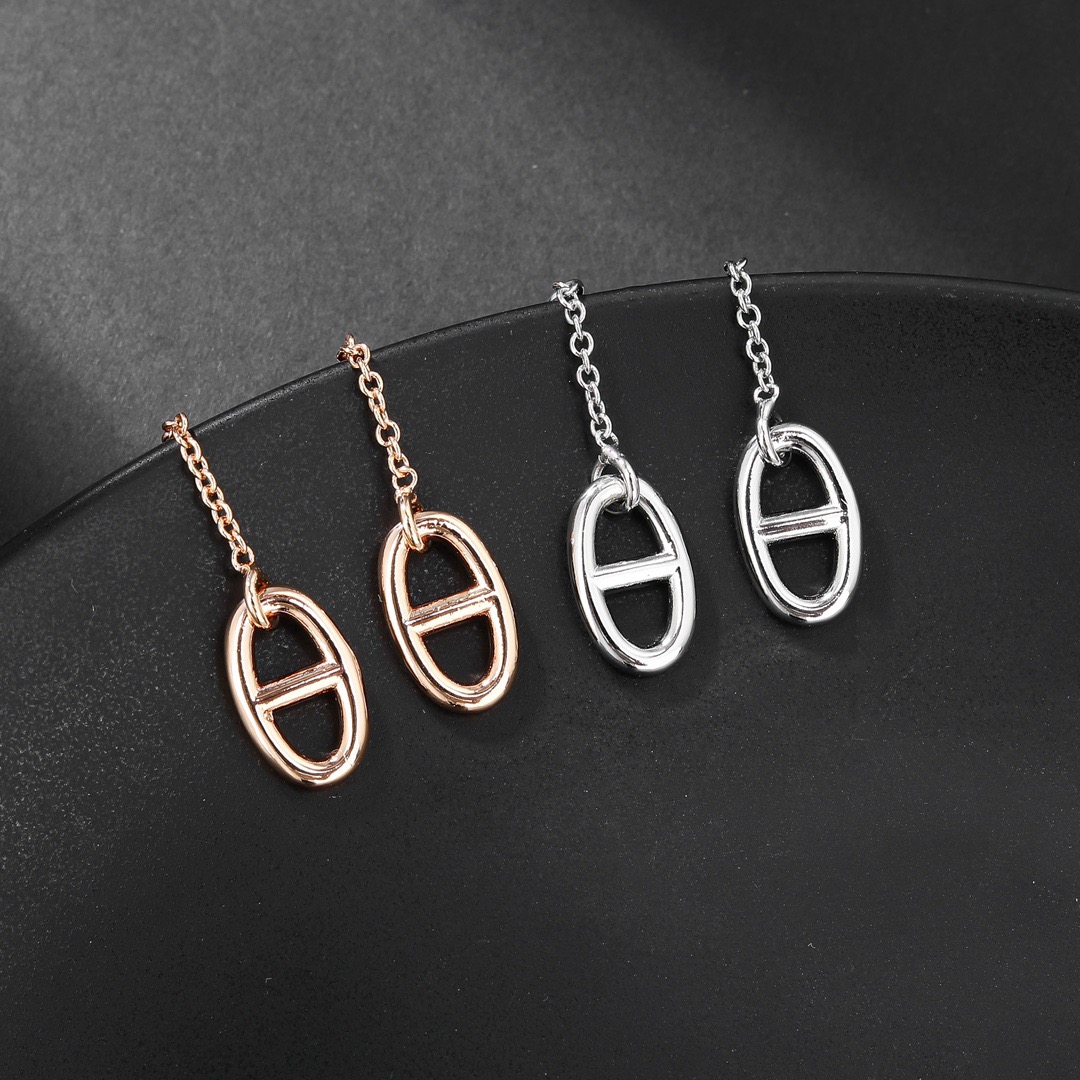Hermes earrings-81