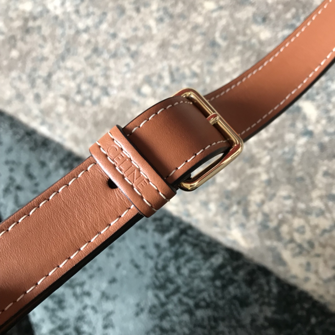 Celine bag-125