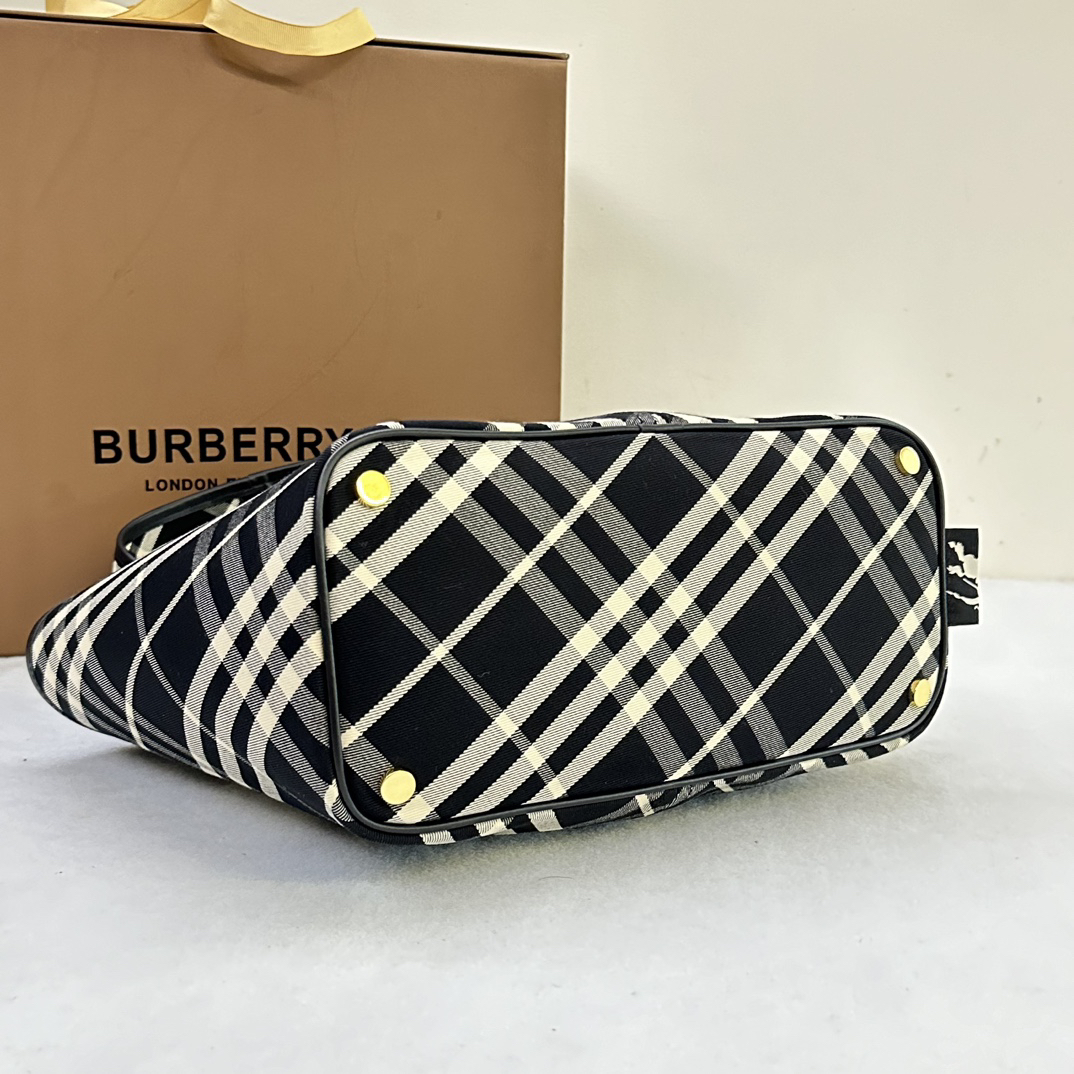 Burberry bag-37