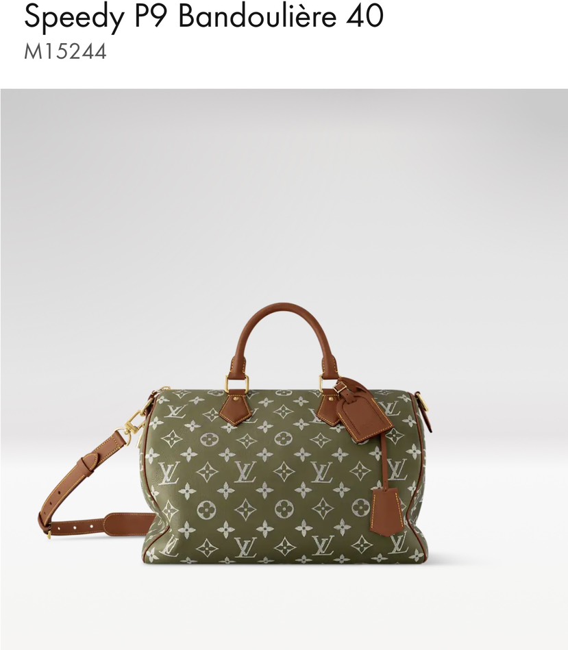 Louis Vuitton bag-32