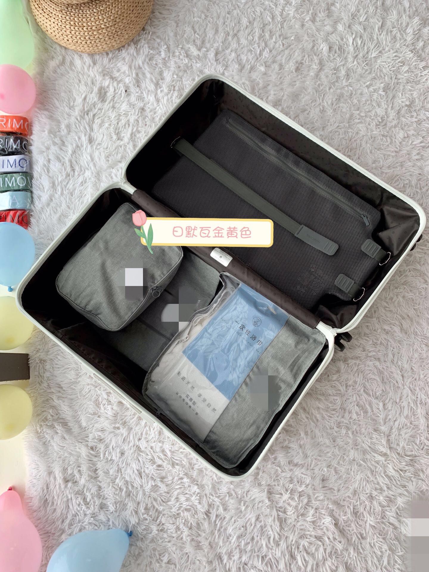 RIMOWA luggage-95
