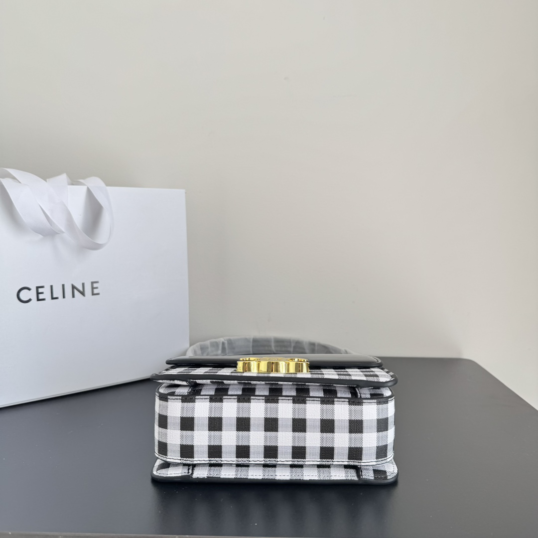 Celine bag-105