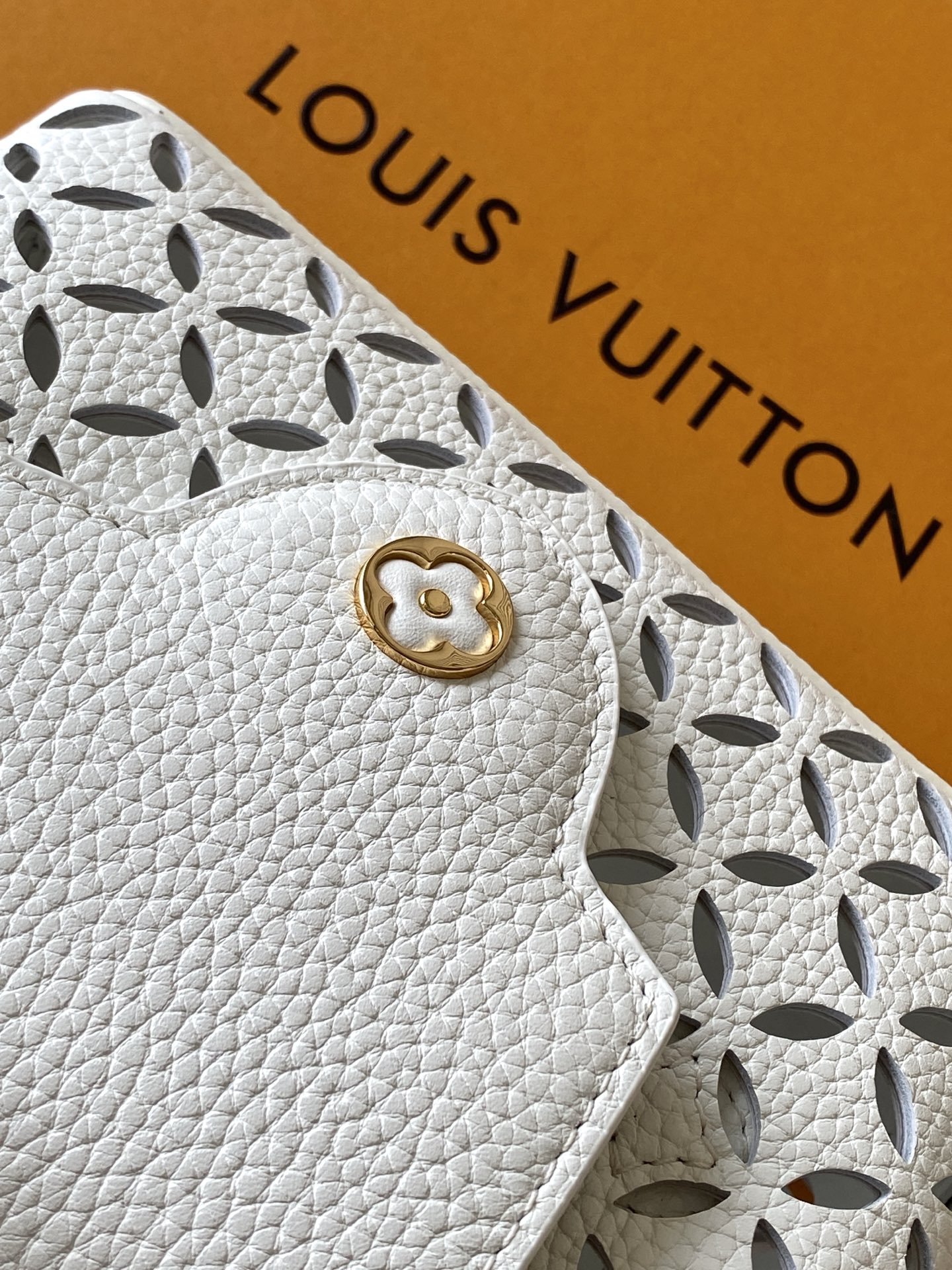 Louis Vuitton bag-100