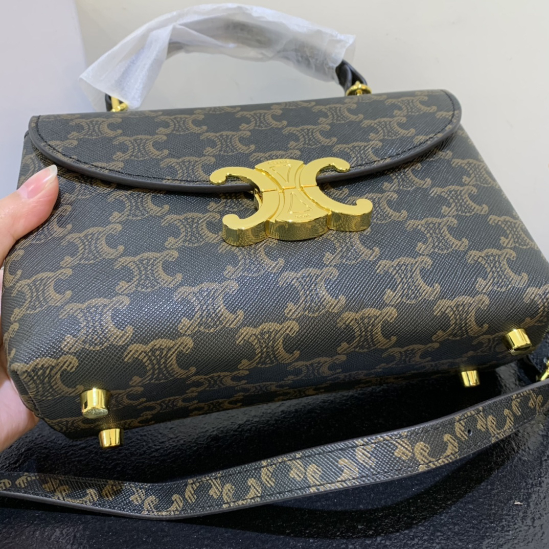Celine bag-106