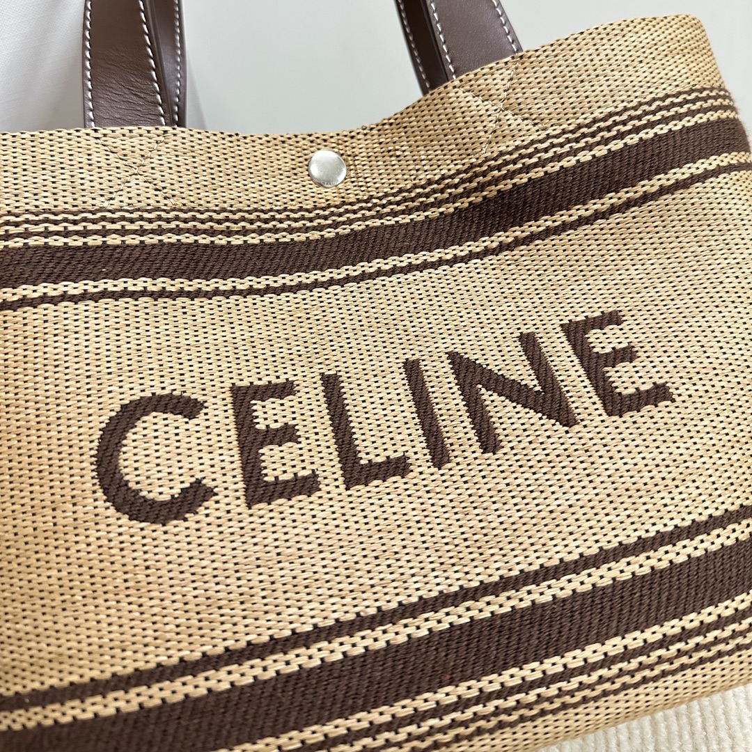 Celine bag-120