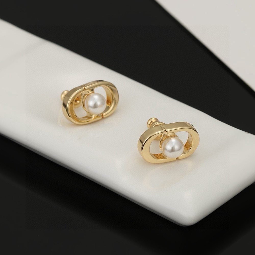 Dior earrings-64