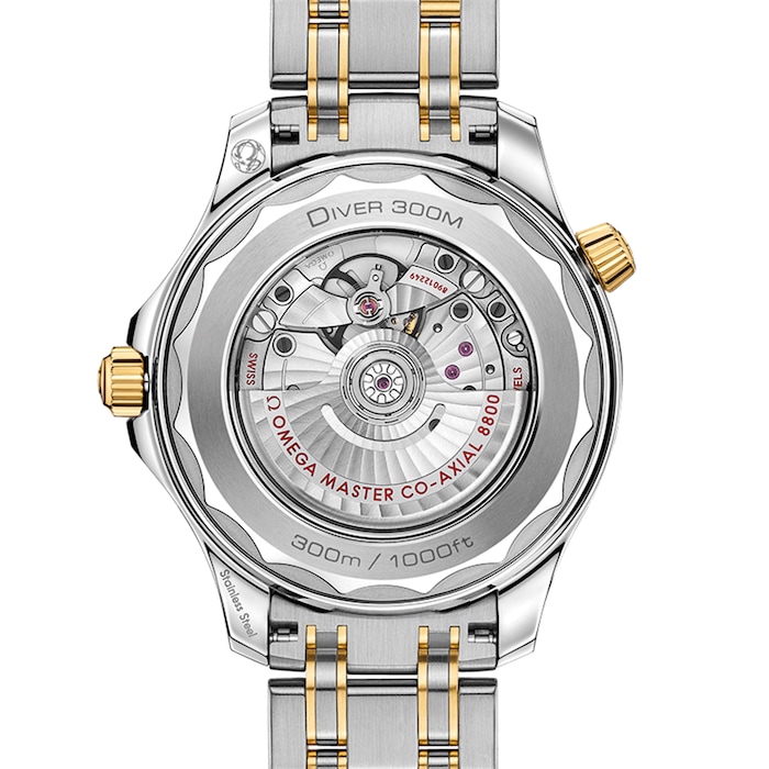 Seamaster Diver 300 Co-Axial Master Chronometer 42mm