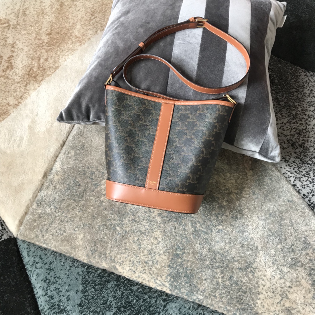 Celine bag-125