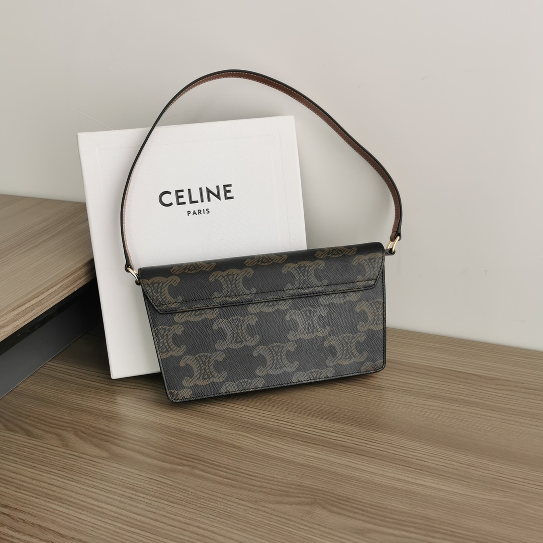 Celine bag-121