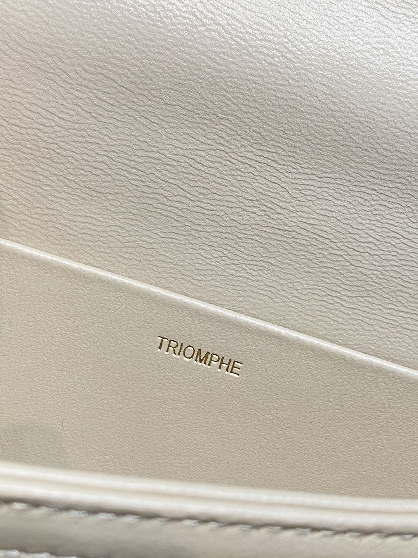 Celine bag-111