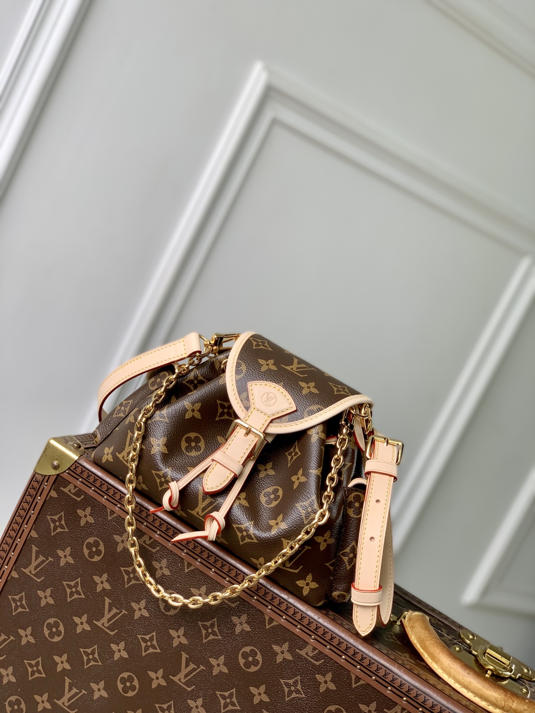 Louis Vuitton bag-49