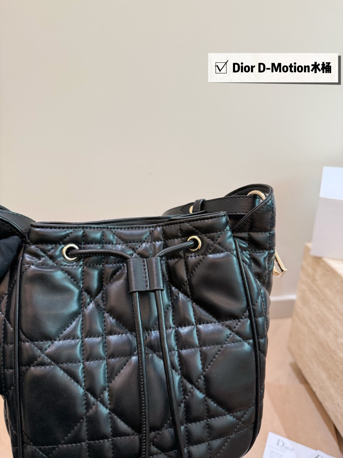 Dior bag-1