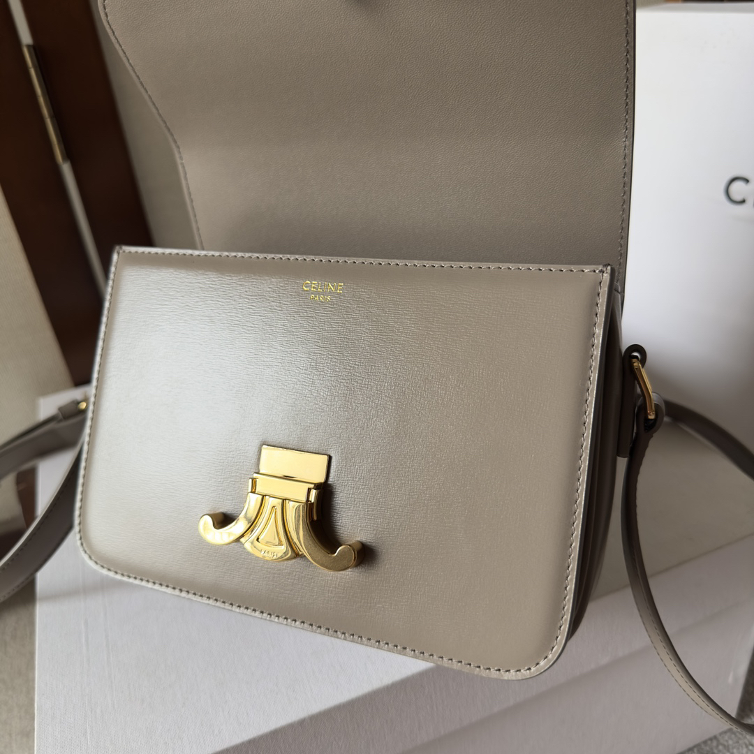 Celine bag-79