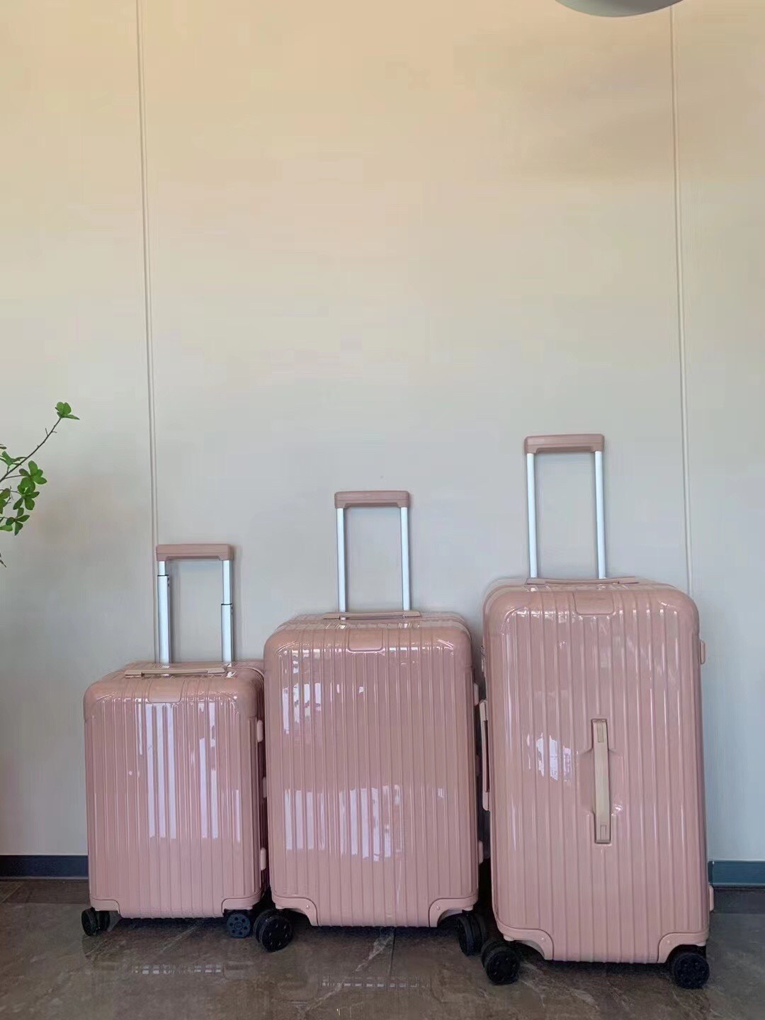 RIMOWA luggage-101