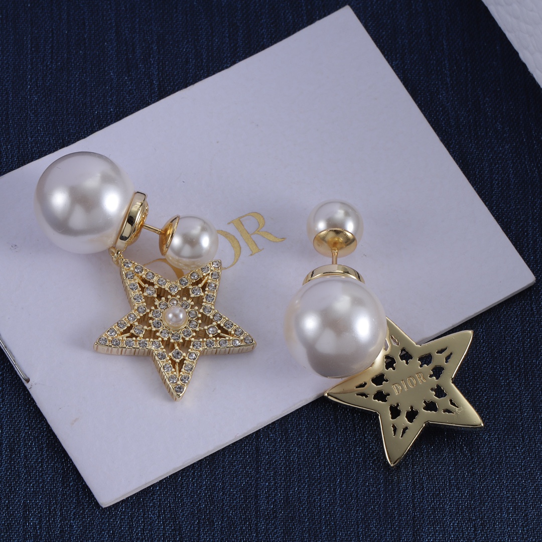Dior earrings-39