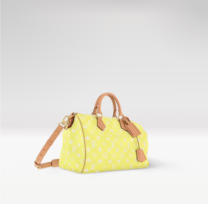 Louis Vuitton bag-6