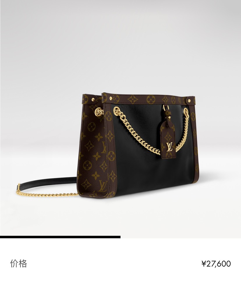 Louis Vuitton bag-118