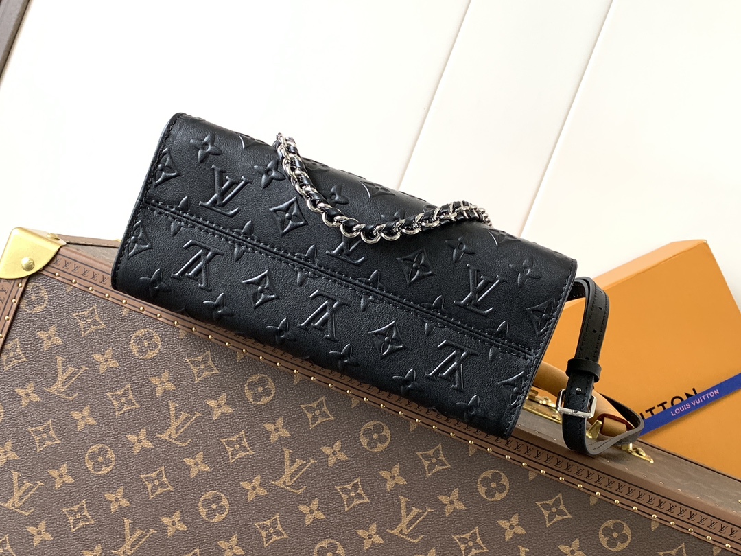 Louis Vuitton bag-37
