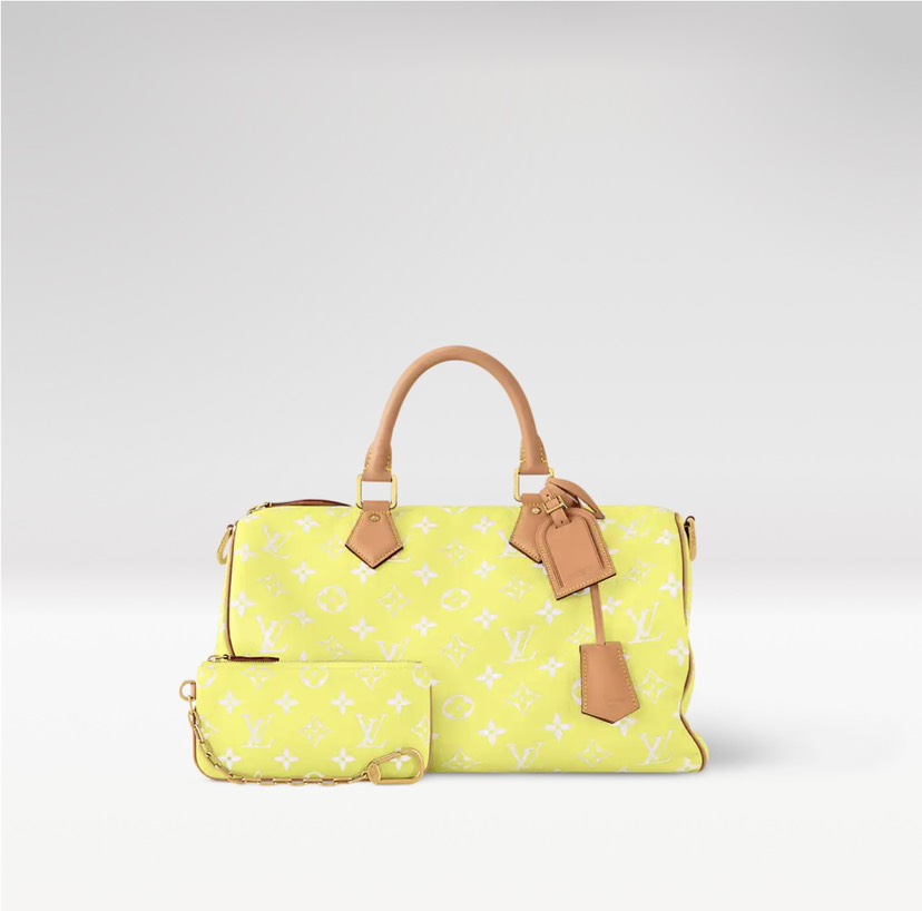 Louis Vuitton bag-6