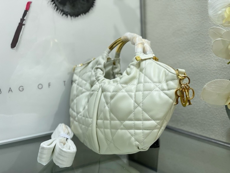 Dior bag-34