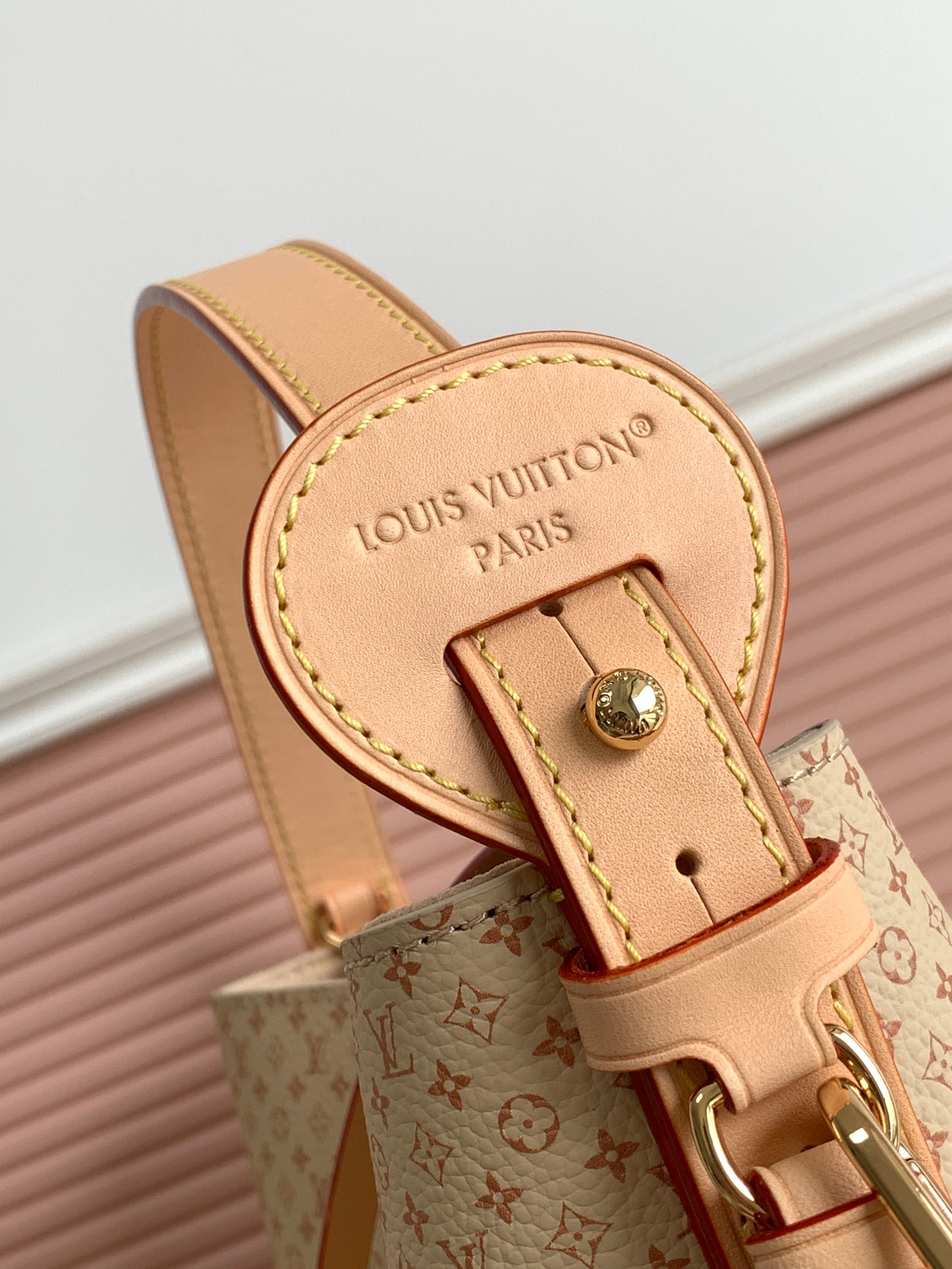 Louis Vuitton bag-4