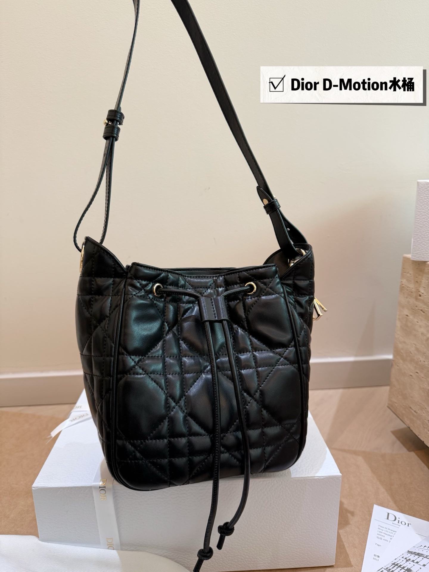 Dior bag-1
