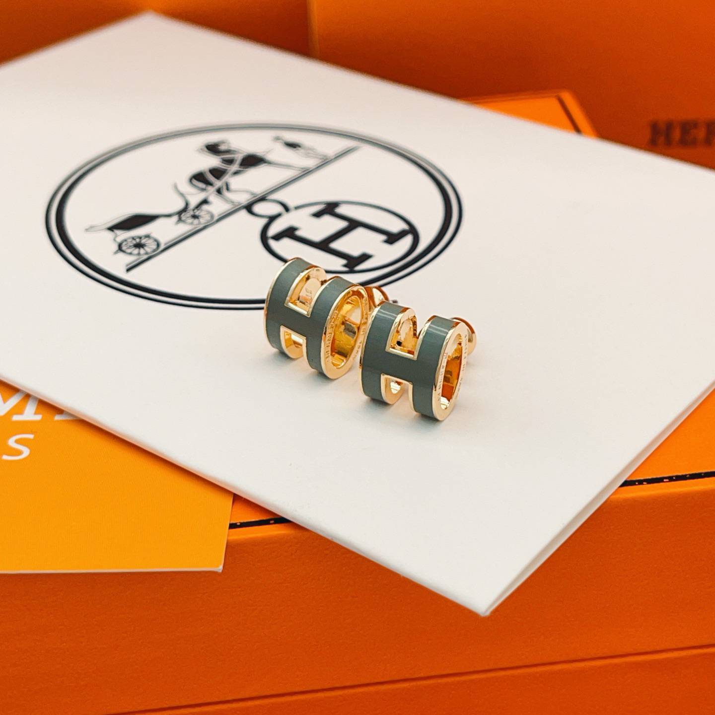 Hermes earrings-69