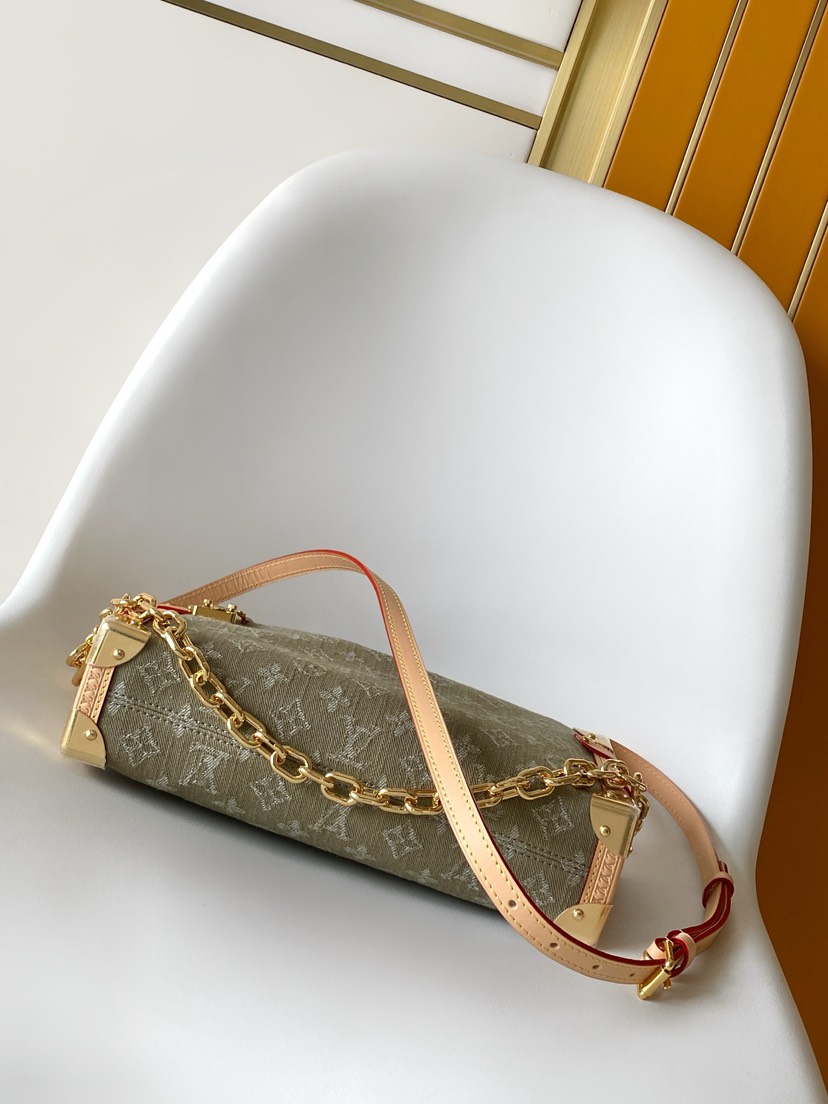 Louis Vuitton Hot New Product-219