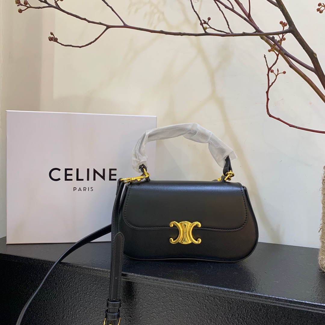 Celine bag-55