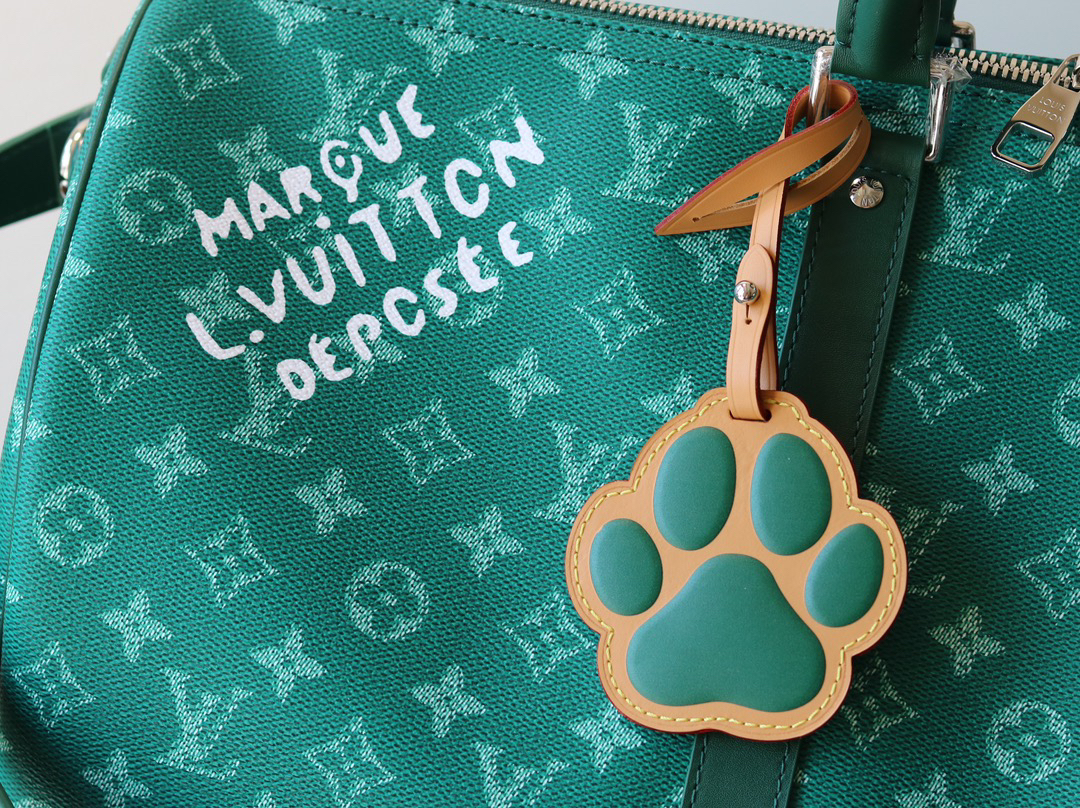 Louis Vuitton bag-187