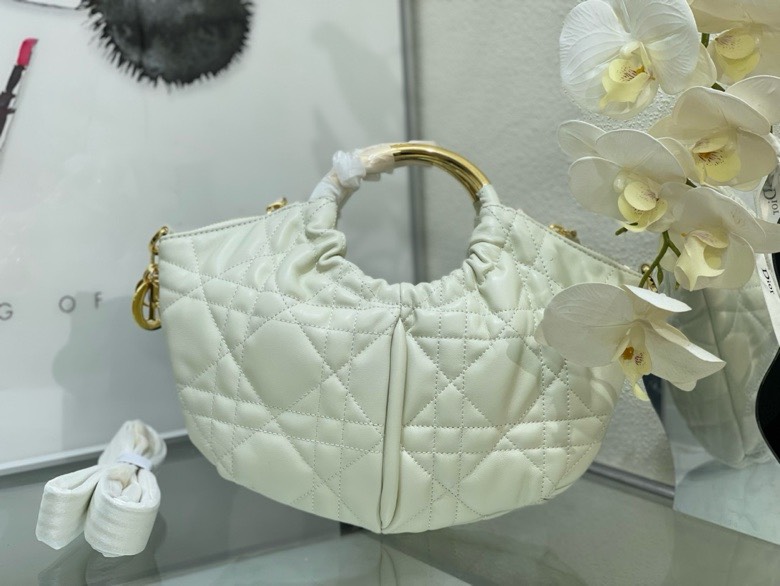Dior bag-34