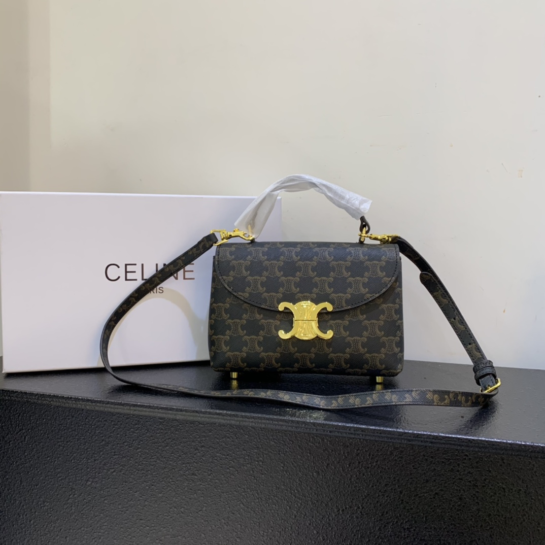 Celine bag-106