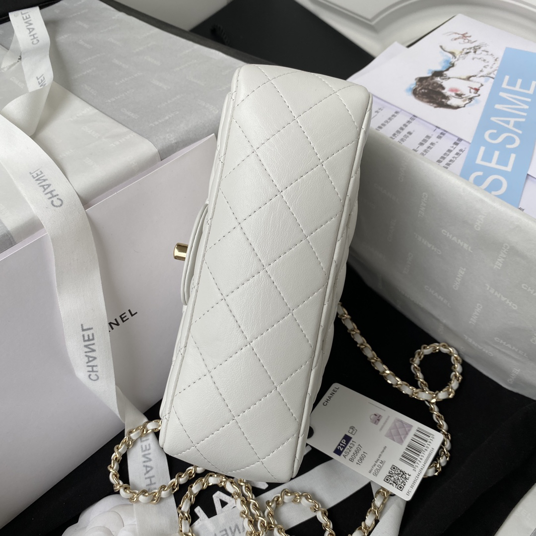 Chanel bag-100