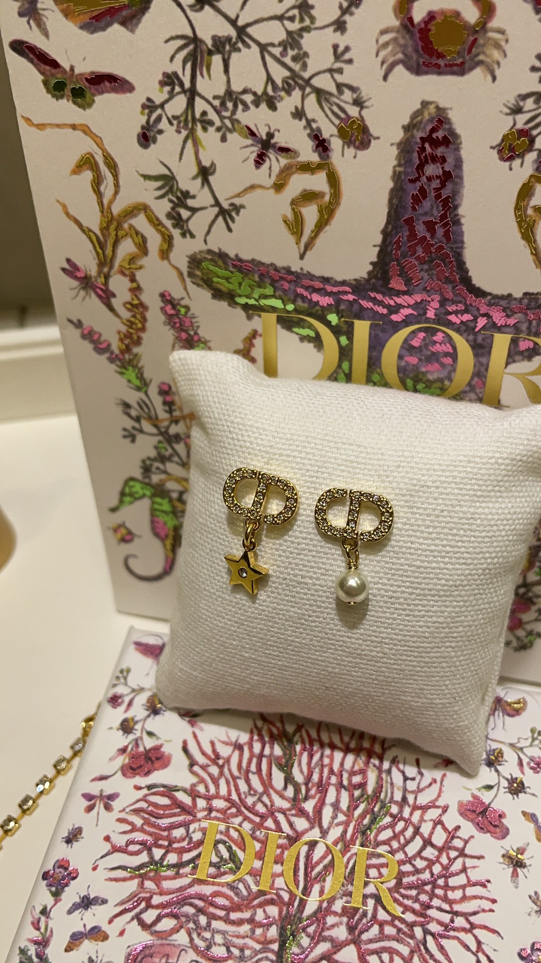 Dior earrings-34