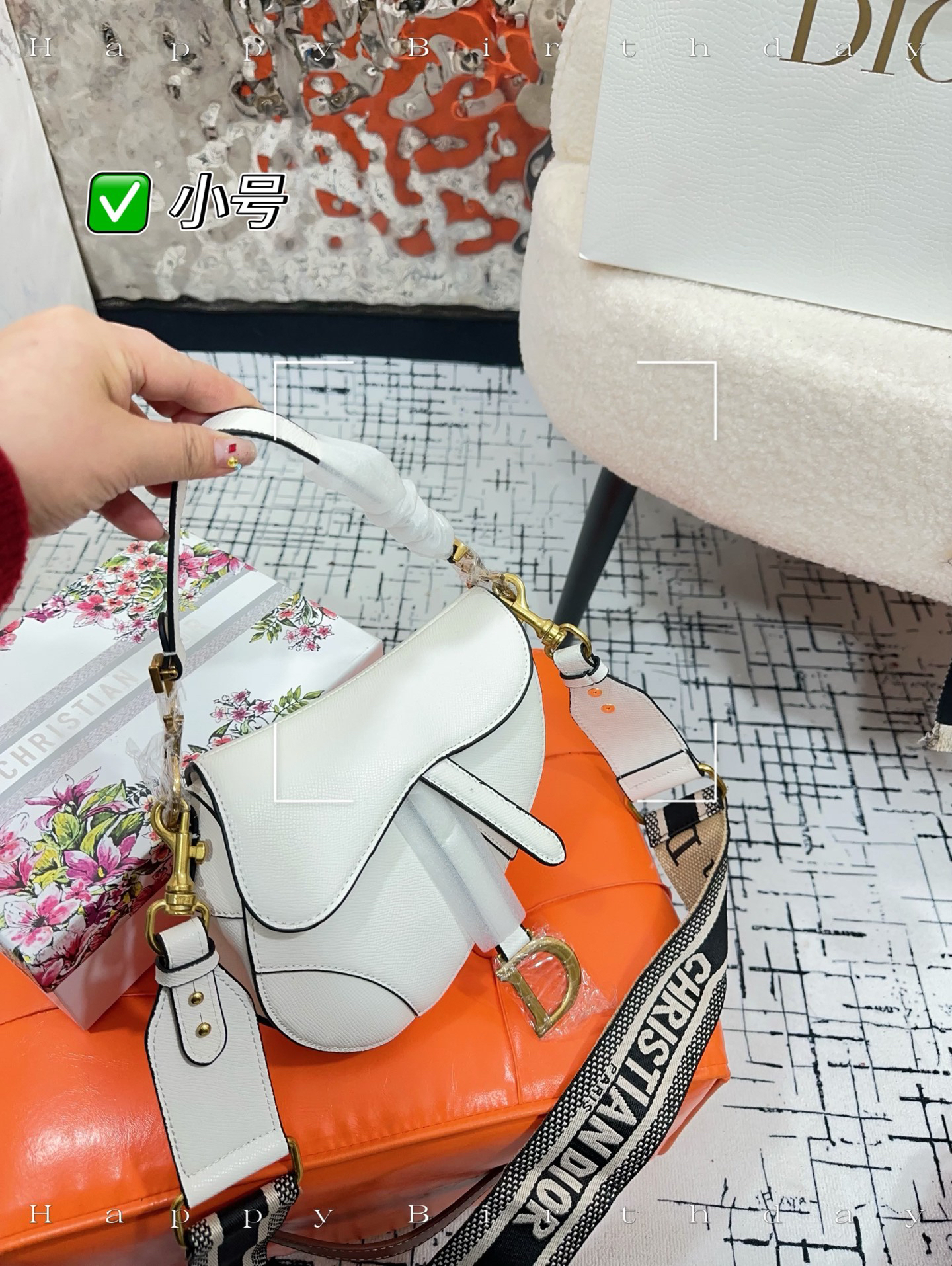 Dior bag-4