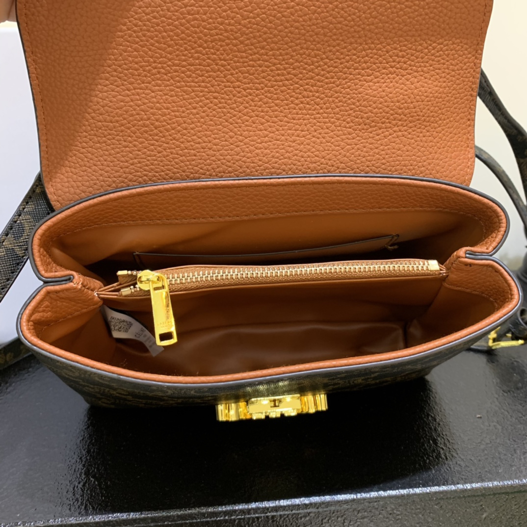 Celine bag-106